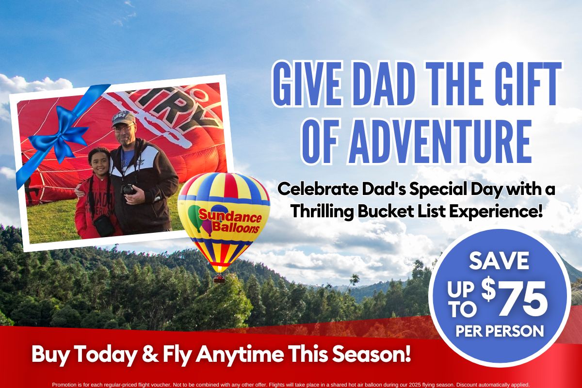 Father's Day Sale